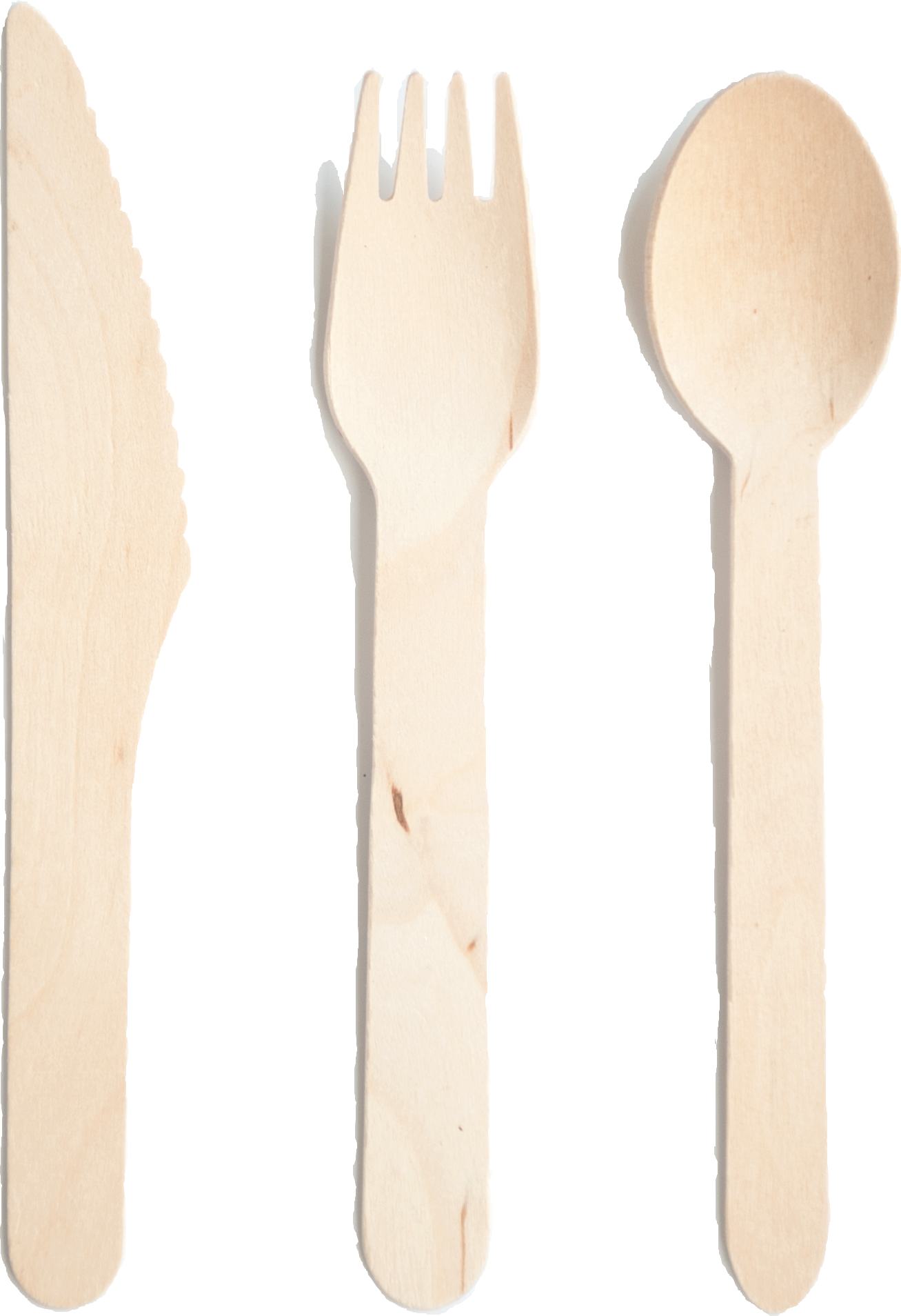 Wooden Cutlery, Eco-Friendly Sustainable Food Service Packaging Products [ABPP Papers]
